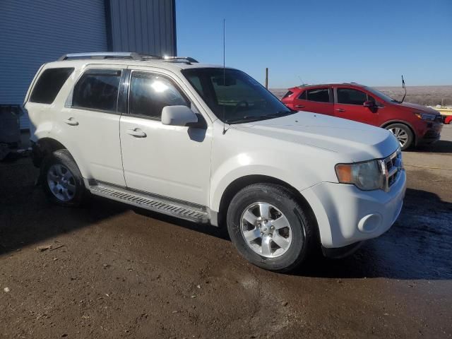 2010 Ford Escape Limited