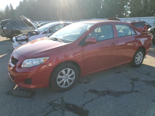 2009 Toyota Corolla Base