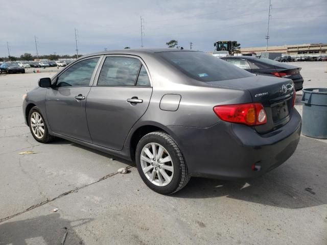 2010 Toyota Corolla Base