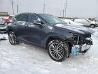 2023 Lexus NX 350H