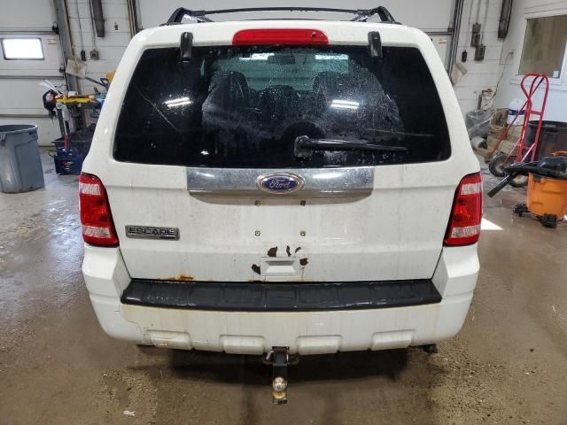 2010 Ford Escape Limited