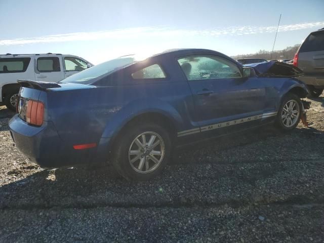 2006 Ford Mustang