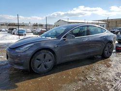 Salvage cars for sale at Baltimore, MD auction: 2020 Tesla Model 3