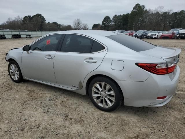 2013 Lexus ES 300H