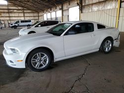 Salvage cars for sale at Phoenix, AZ auction: 2013 Ford Mustang