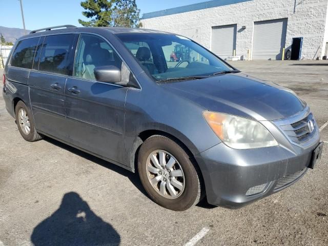 2009 Honda Odyssey EXL