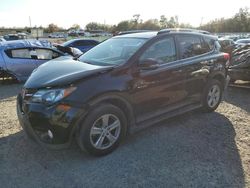 Salvage cars for sale from Copart Riverview, FL: 2013 Toyota Rav4 XLE