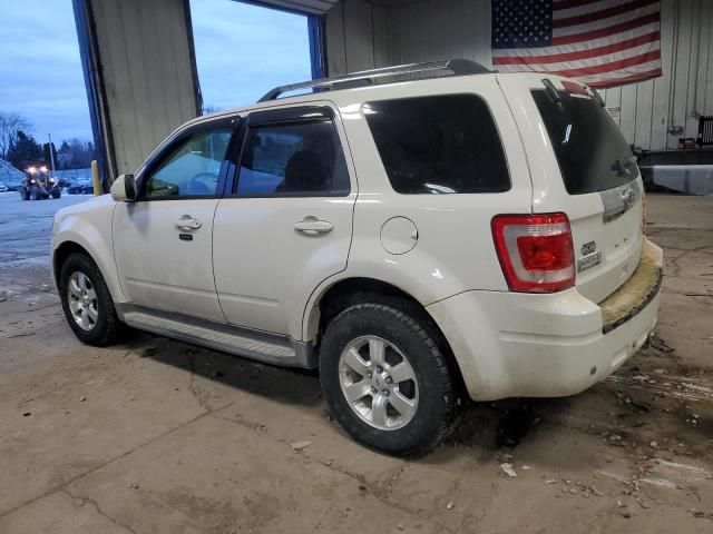 2010 Ford Escape Limited