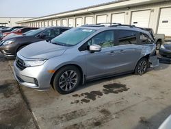 Honda Odyssey exl salvage cars for sale: 2024 Honda Odyssey EXL