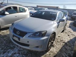 Lexus Vehiculos salvage en venta: 2010 Lexus IS 250