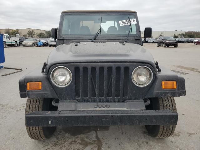 2002 Jeep Wrangler / TJ X