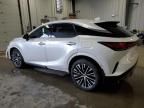 2024 Lexus RX 350 Base