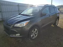 Salvage cars for sale at Anderson, CA auction: 2015 Ford Escape SE