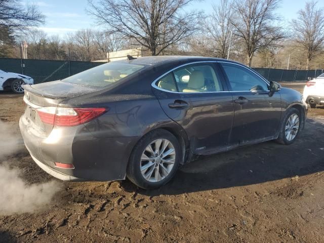 2014 Lexus ES 300H