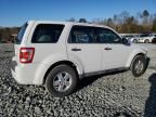 2010 Ford Escape XLS