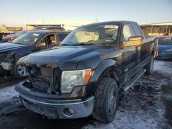 Salvage cars for sale at Brighton, CO auction: 2014 Ford F150 Super Cab