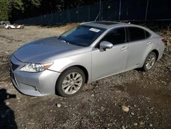 Salvage cars for sale at Graham, WA auction: 2013 Lexus ES 300H