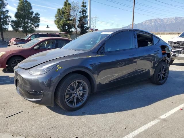 2025 Tesla Model Y