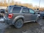 2009 Ford Escape Limited