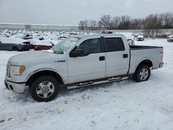 Ford salvage cars for sale: 2011 Ford F150 Supercrew