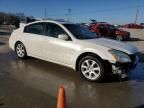 2007 Nissan Maxima SE