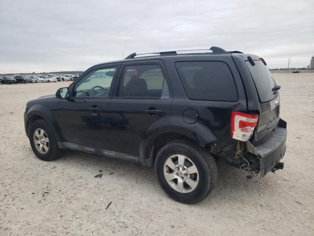 2011 Ford Escape Limited