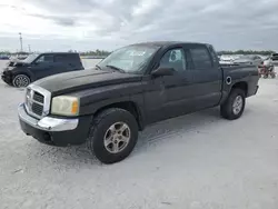 Dodge Vehiculos salvage en venta: 2005 Dodge Dakota Quad SLT