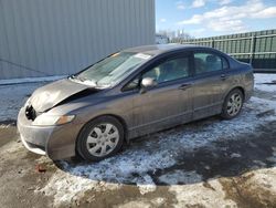 Honda Civic salvage cars for sale: 2010 Honda Civic LX