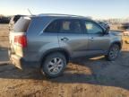 2011 KIA Sorento Base