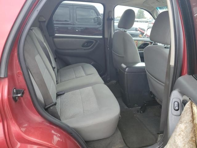 2005 Ford Escape XLT