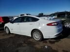 2014 Ford Fusion SE Phev