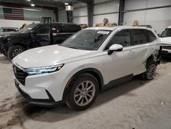 Salvage cars for sale at Greenwood, NE auction: 2023 Honda CR-V EXL