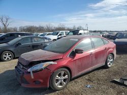 Ford salvage cars for sale: 2013 Ford Focus SE