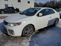 Salvage cars for sale at Cookstown, ON auction: 2011 KIA Forte EX