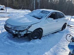 Salvage cars for sale at Cookstown, ON auction: 2017 Honda Accord EX