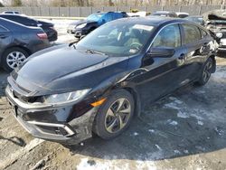 Honda Civic lx Vehiculos salvage en venta: 2019 Honda Civic LX