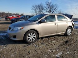 Salvage Cars with No Bids Yet For Sale at auction: 2010 Toyota Corolla Base