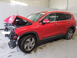 Hyundai Santa fe salvage cars for sale: 2023 Hyundai Santa FE SEL