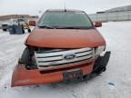 2007 Ford Edge SEL