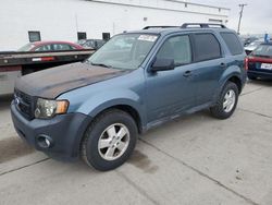 Ford Escape salvage cars for sale: 2012 Ford Escape XLT