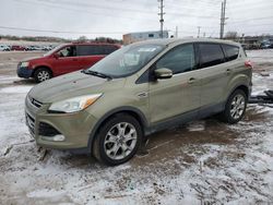 Salvage cars for sale at Colorado Springs, CO auction: 2013 Ford Escape SEL