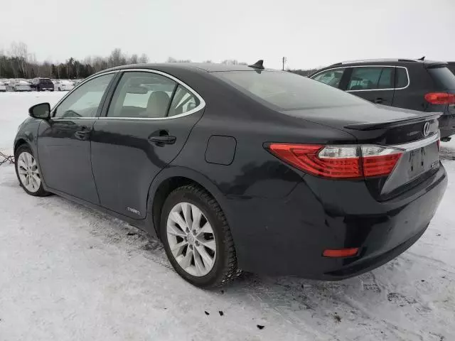 2013 Lexus ES 300H