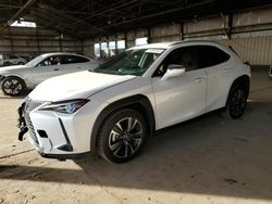 Salvage cars for sale at Phoenix, AZ auction: 2019 Lexus UX 200