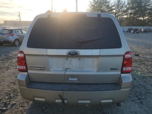 2010 Ford Escape XLT