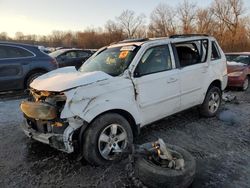 Honda Vehiculos salvage en venta: 2011 Honda Pilot EXL