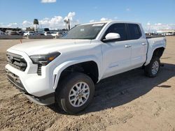 Salvage cars for sale at Phoenix, AZ auction: 2024 Toyota Tacoma Double Cab