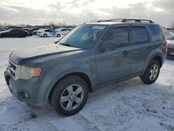 Ford salvage cars for sale: 2010 Ford Escape XLT