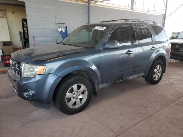 2011 Ford Escape Limited