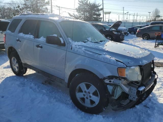 2009 Ford Escape XLT