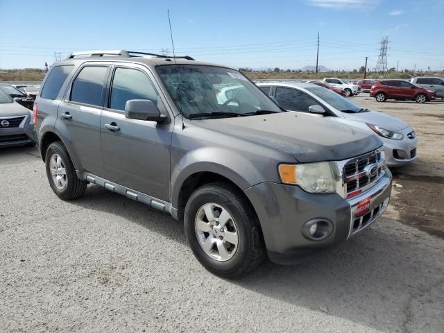 2011 Ford Escape Limited